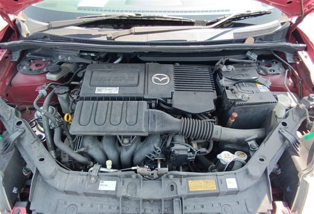Image 7